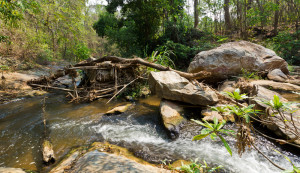 Mae Sa Waterfall