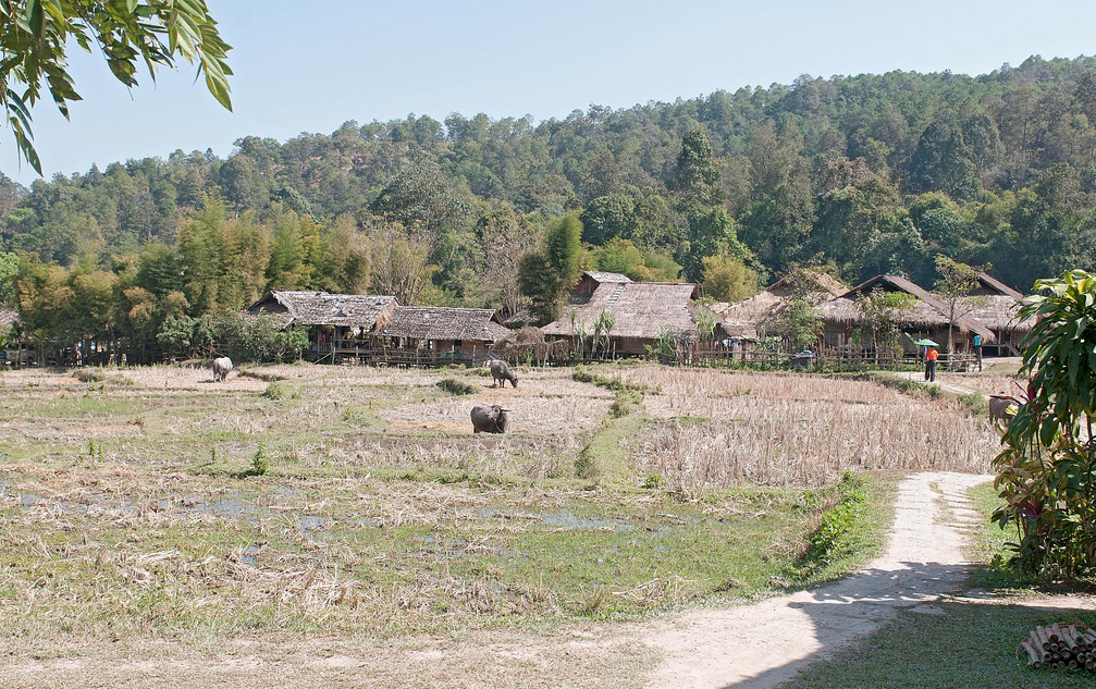 Baan Tong Luang - 5 hill tribe village