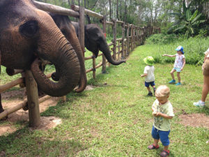 Elephant Valley is also very safe for the kiddies